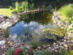 20130625_064953.jpg 20130625_064953.jpg