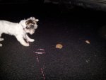 20130717_211246.jpg