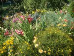 DSC06202.JPG