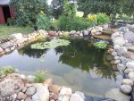 Pond July 2013 031.JPG Pond July 2013 031.JPG