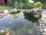 Pond July 2013 024.JPG Pond July 2013 024.JPG