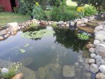 Pond July  2013 024.JPG