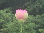 DSC06218.JPG
