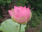 DSC06222.JPG