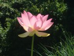 DSC06240.JPG