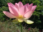 DSC06242.JPG