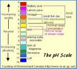 PH scale copy.jpg