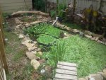 pond1.jpg pond1.jpg