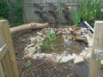 pond3.jpg pond3.jpg