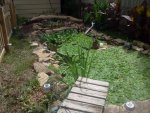 pond4.jpg pond4.jpg