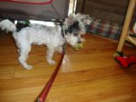 DSC06316.JPG