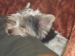 DSC06314.JPG