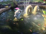 pond 419.JPG