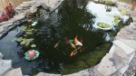 DSC07872.JPG