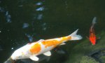 DSC07873.JPG