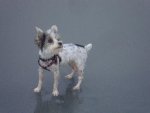DSC06350.JPG