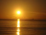 DSC06414.JPG