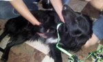 20130901_215838.jpg 20130901_215838.jpg
