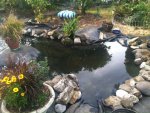 Pond with rocks4.jpg