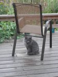 sitting under chair in the rain.JPG