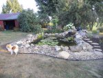 Pond Sept 2013 005.JPG Pond Sept 2013 005.JPG
