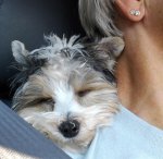 20130908_104054.jpg