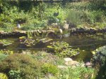 DSC06489.JPG
