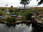 After cattail removal.JPG
