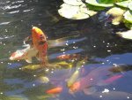 100_1714.JPG