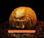 pumpkin head (500 x 421).jpg