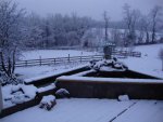 Winter sleep by addy1.jpg Winter sleep by addy1.jpg