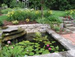 pond-picture2.jpg pond-picture2.jpg