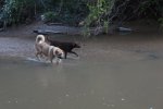 DSC04295.JPG