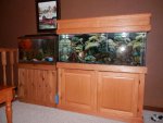 Two aquariums.JPG