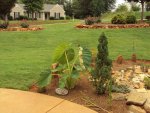 Pond & Yard 035.jpg