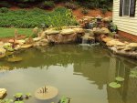 Pond & Yard 038.jpg