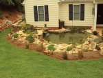 Pond & Yard 055.jpg