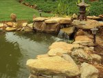 Pond & Yard 069.jpg