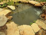 Pond & Yard 070.jpg