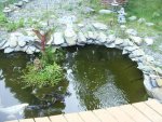 fish 2 007rs.JPG