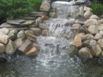 pond040[1].jpg