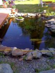 07-26-10_1615.jpg