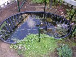 Garden pond 002.jpg