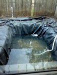 pond with liner.jpg