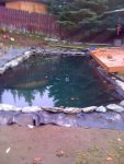 10-23-10_1359.jpg
