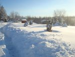 DSC00763.jpg