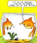 Goldfish Cartoon.jpg