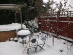 garden and snow 068.jpg