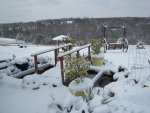 12-26-2010 snow 030.jpg