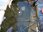 pond rebuild 031.JPG